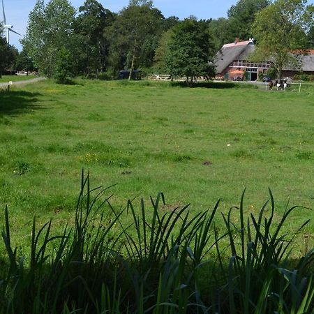 Ferienwohnung Suderfeld ブラケ エクステリア 写真