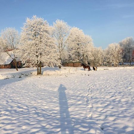 Ferienwohnung Suderfeld ブラケ エクステリア 写真