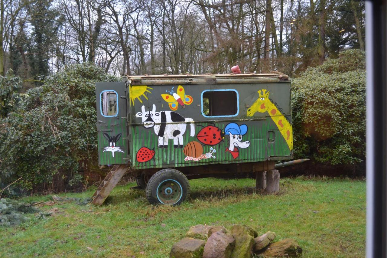 Ferienwohnung Suderfeld ブラケ エクステリア 写真