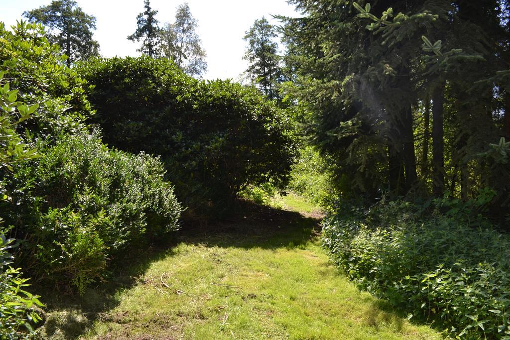 Ferienwohnung Suderfeld ブラケ エクステリア 写真