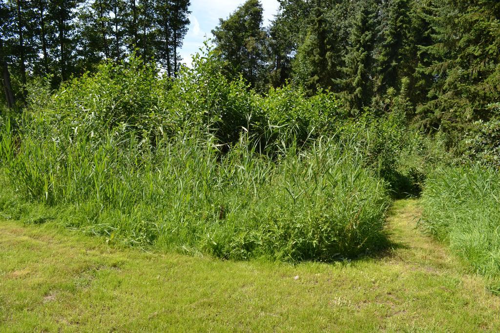 Ferienwohnung Suderfeld ブラケ エクステリア 写真