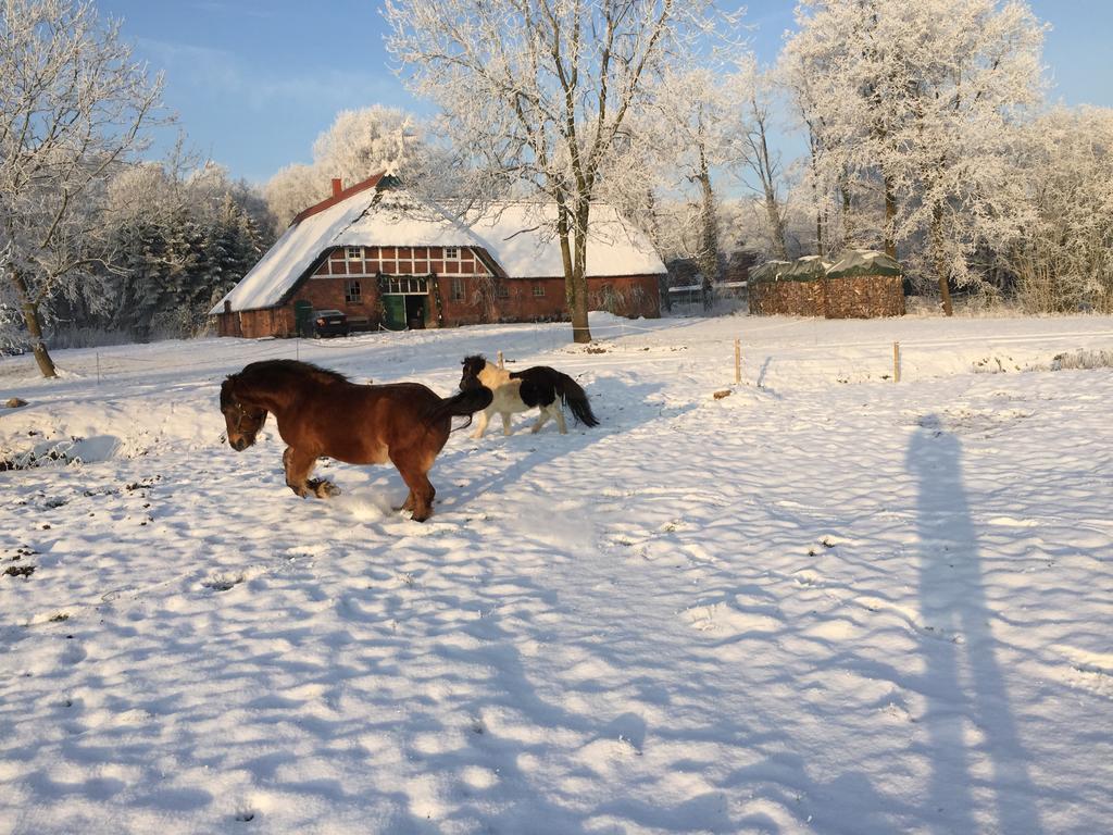Ferienwohnung Suderfeld ブラケ エクステリア 写真